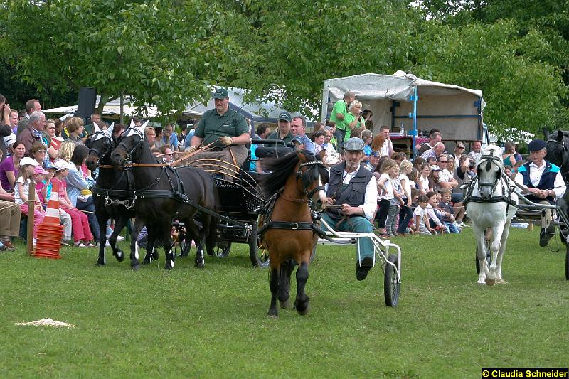 Ponytag Bosbach 2012-012.jpg